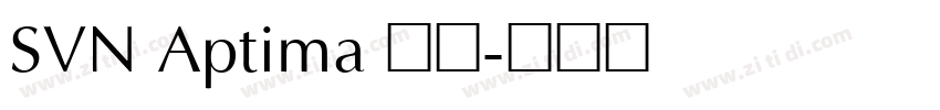 SVN Aptima 常规字体转换